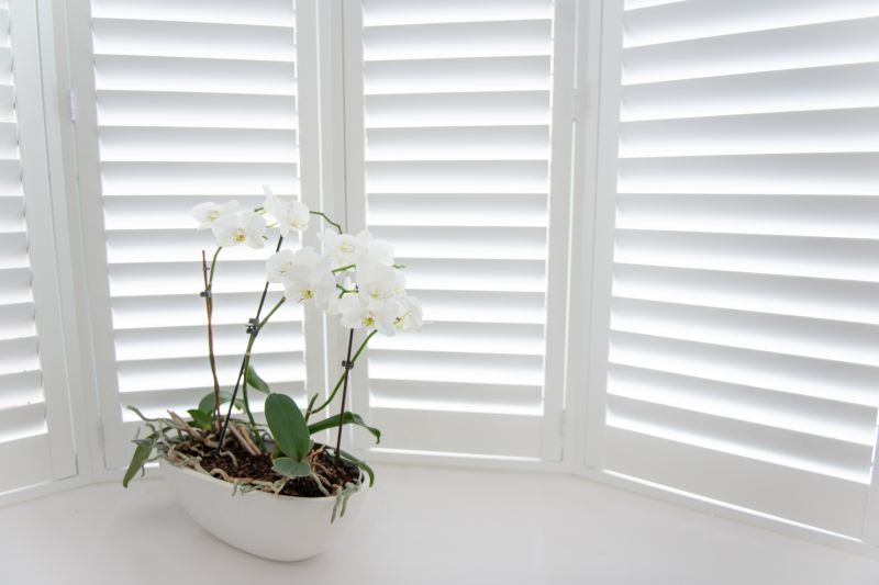 Louvered Shutters Installation in Boulder, CO
